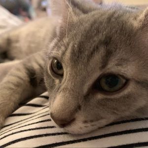 Meet your Posher, Madeline